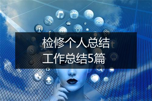 检修个人总结工作总结5篇