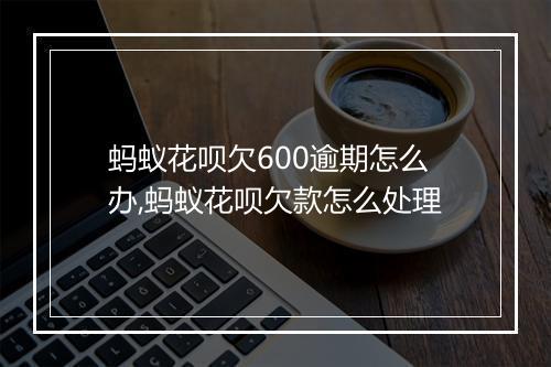 蚂蚁花呗欠600逾期怎么办,蚂蚁花呗欠款怎么处理