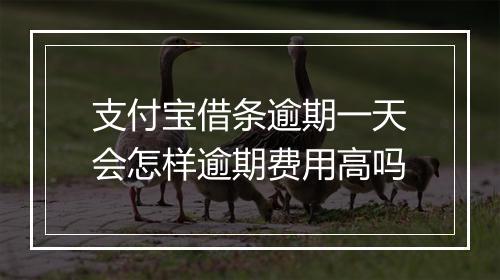 支付宝借条逾期一天会怎样逾期费用高吗