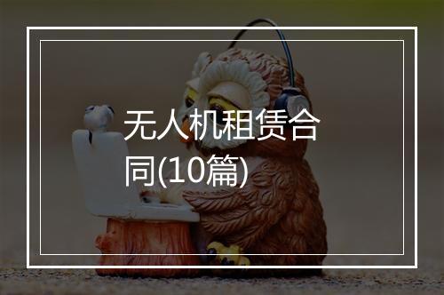 无人机租赁合同(10篇)