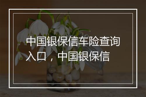 中国银保信车险查询入口，中国银保信