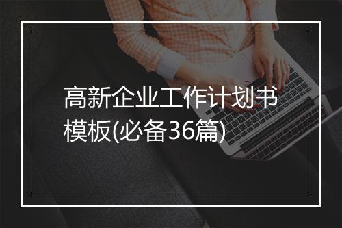 高新企业工作计划书模板(必备36篇)