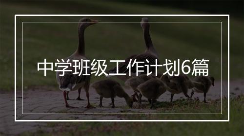中学班级工作计划6篇