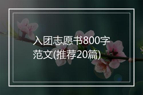 入团志愿书800字范文(推荐20篇)