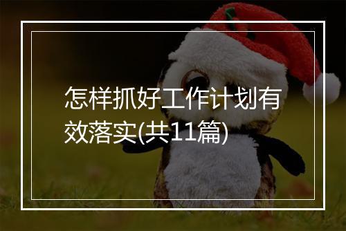 怎样抓好工作计划有效落实(共11篇)