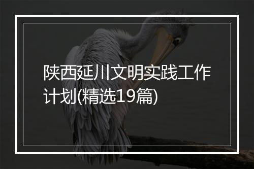 陕西延川文明实践工作计划(精选19篇)