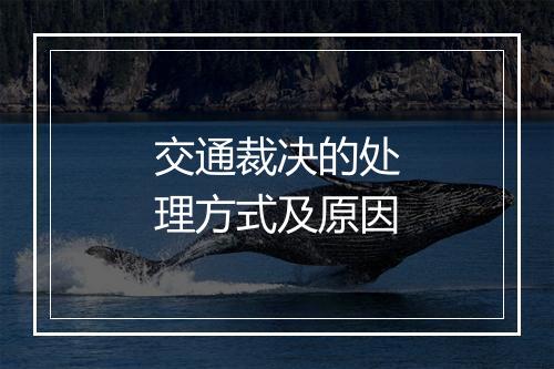 交通裁决的处理方式及原因
