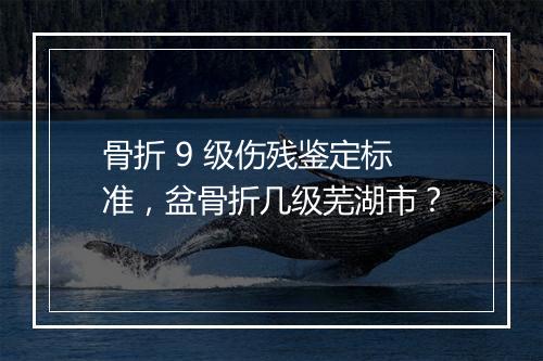 骨折 9 级伤残鉴定标准，盆骨折几级芜湖市？
