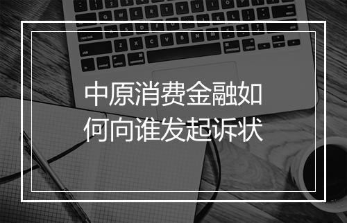 中原消费金融如何向谁发起诉状