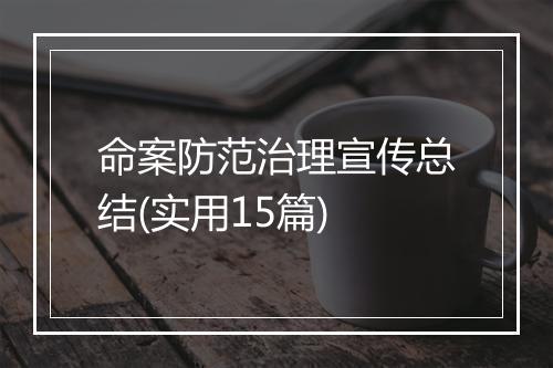 命案防范治理宣传总结(实用15篇)