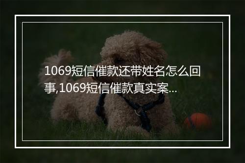 1069短信催款还带姓名怎么回事,1069短信催款真实案例揭秘
