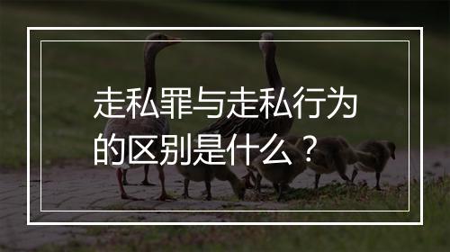 走私罪与走私行为的区别是什么？