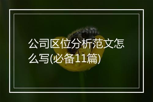公司区位分析范文怎么写(必备11篇)