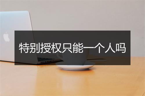 特别授权只能一个人吗