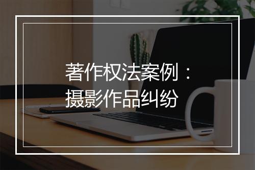 著作权法案例：摄影作品纠纷