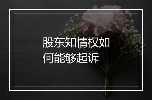 股东知情权如何能够起诉