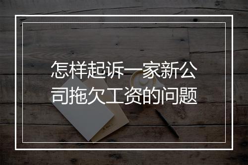 怎样起诉一家新公司拖欠工资的问题