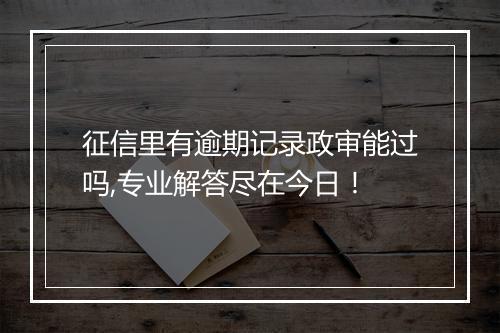 征信里有逾期记录政审能过吗,专业解答尽在今日！