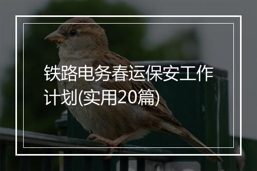 铁路电务春运保安工作计划(实用20篇)