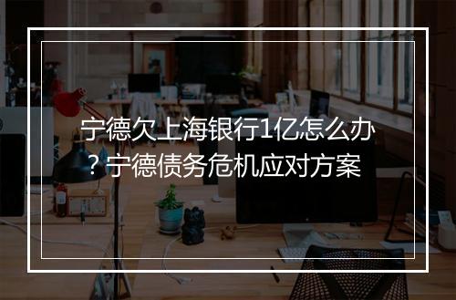 宁德欠上海银行1亿怎么办？宁德债务危机应对方案
