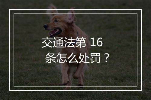 交通法第 16 条怎么处罚？