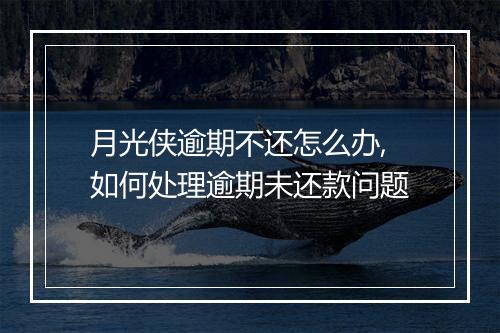 月光侠逾期不还怎么办,如何处理逾期未还款问题