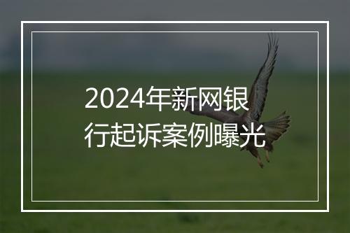 2024年新网银行起诉案例曝光