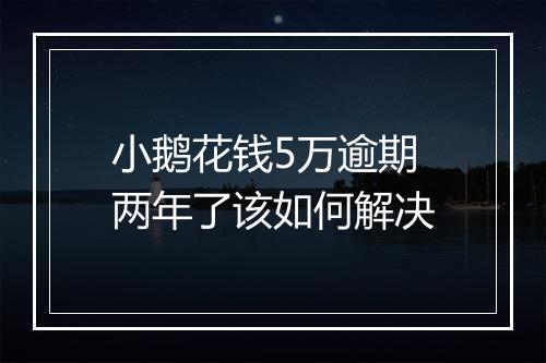 小鹅花钱5万逾期两年了该如何解决