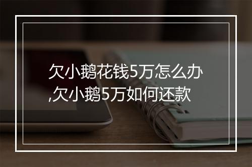 欠小鹅花钱5万怎么办,欠小鹅5万如何还款