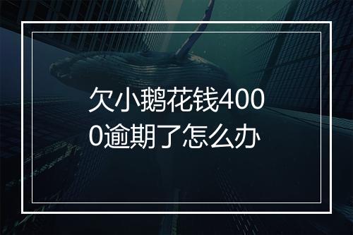 欠小鹅花钱4000逾期了怎么办