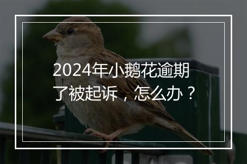 2024年小鹅花逾期了被起诉，怎么办？