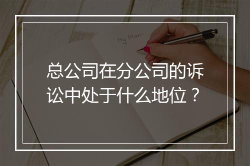 总公司在分公司的诉讼中处于什么地位？