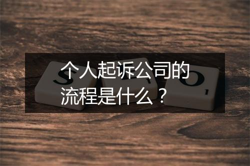 个人起诉公司的流程是什么？