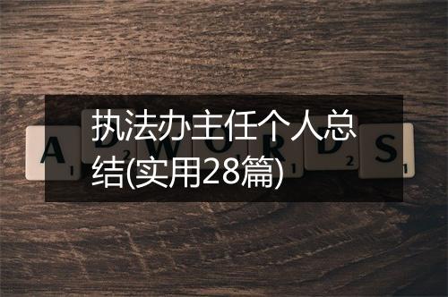 执法办主任个人总结(实用28篇)