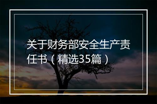 关于财务部安全生产责任书（精选35篇）