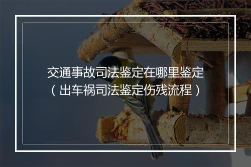 交通事故司法鉴定在哪里鉴定（出车祸司法鉴定伤残流程）