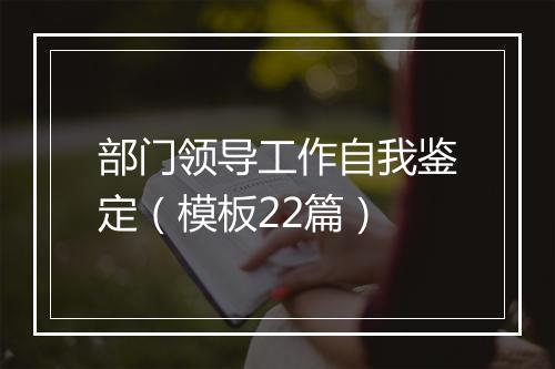 部门领导工作自我鉴定（模板22篇）