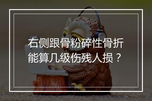 右侧跟骨粉碎性骨折能算几级伤残人损？