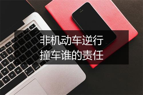 非机动车逆行撞车谁的责任