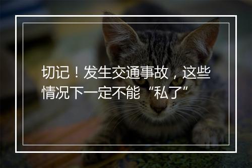 切记！发生交通事故，这些情况下一定不能“私了”