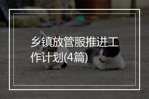 乡镇放管服推进工作计划(4篇)