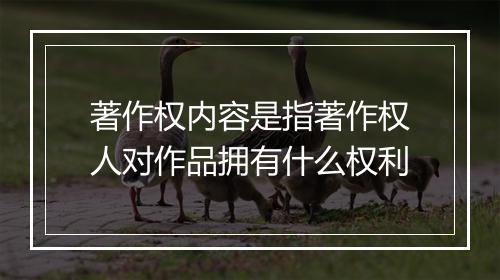 著作权内容是指著作权人对作品拥有什么权利