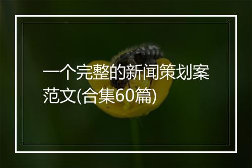 一个完整的新闻策划案范文(合集60篇)
