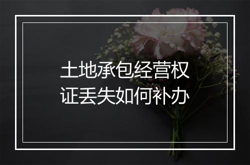 土地承包经营权证丢失如何补办