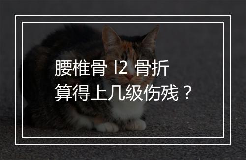 腰椎骨 l2 骨折算得上几级伤残？