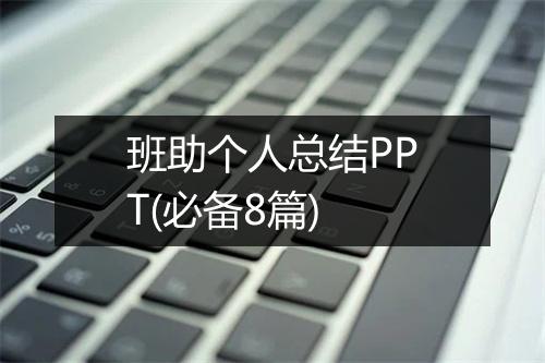 班助个人总结PPT(必备8篇)