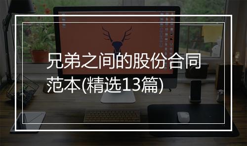 兄弟之间的股份合同范本(精选13篇)