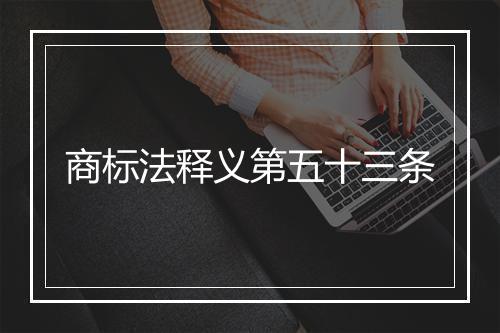 商标法释义第五十三条