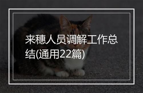 来穗人员调解工作总结(通用22篇)