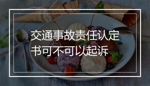 交通事故责任认定书可不可以起诉